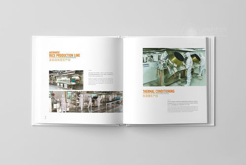 企业形象策划与品牌画册设计 提升品牌影响力的关键