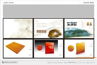 金牛区专业设计服务 打造企业品牌形象的全面解决方案